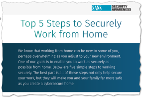 SAN Institute Working From Home Fact Sheet